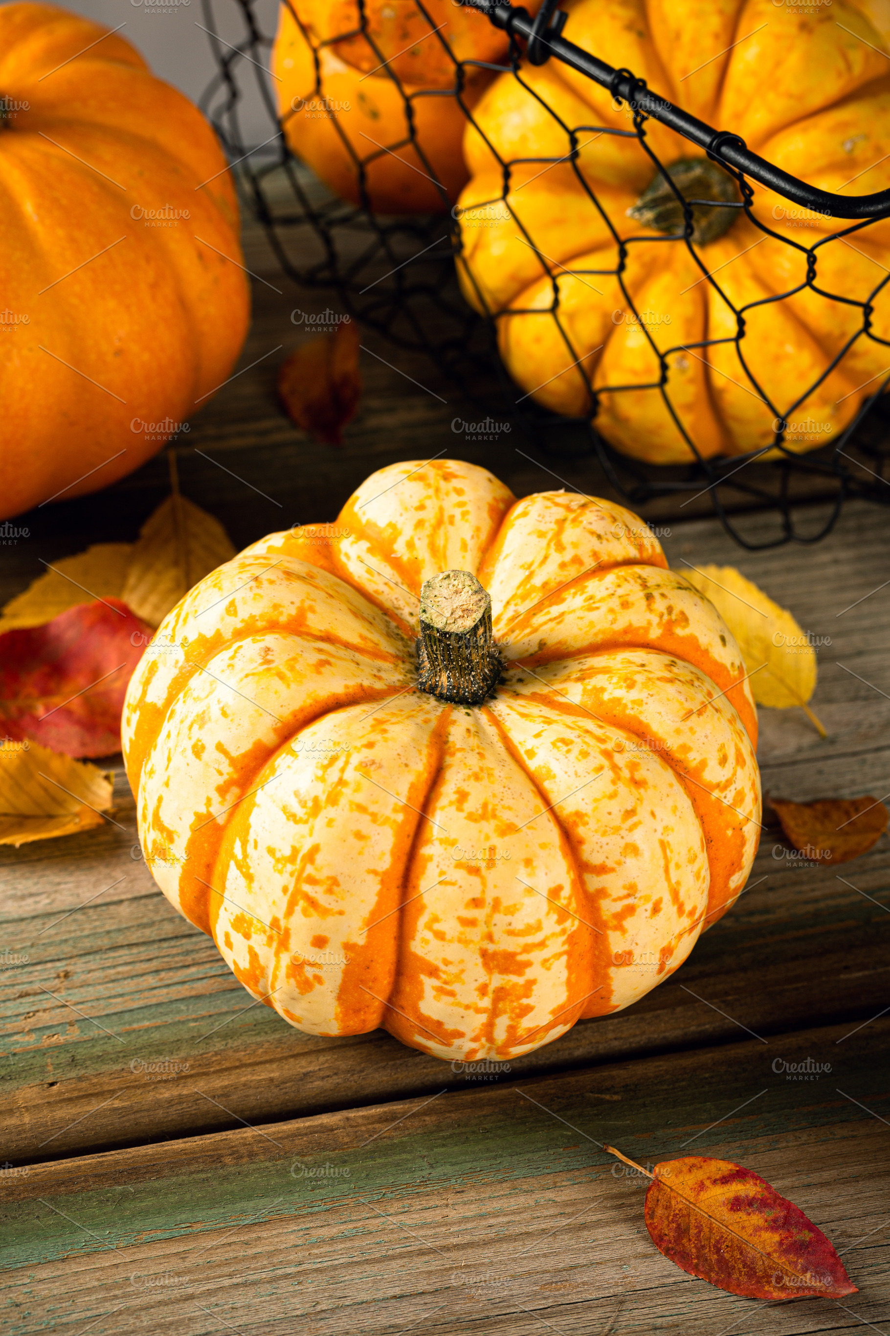 Autumn pumpkin thanksgiving stock photo containing autumn and background, a Holiday Photo by Iryna Melnyk Photography
