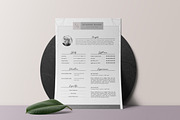 Stylish Resume Template 4 MS Word, a Resume Template by Botanica Paperie (Thumbnail 1 of 5)