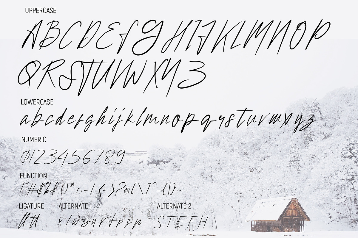 Hollywise - Signature Script Font preview 6