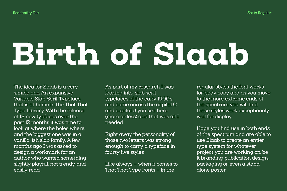 Slaab Font Family 45 Styles, a Slab Serif Font by That That Creative (Photo 6 of 13)