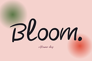 Wisp — Font for Boutique Brands, a Handwritten Font by Lettra Studio (Thumbnail 7 of 16)