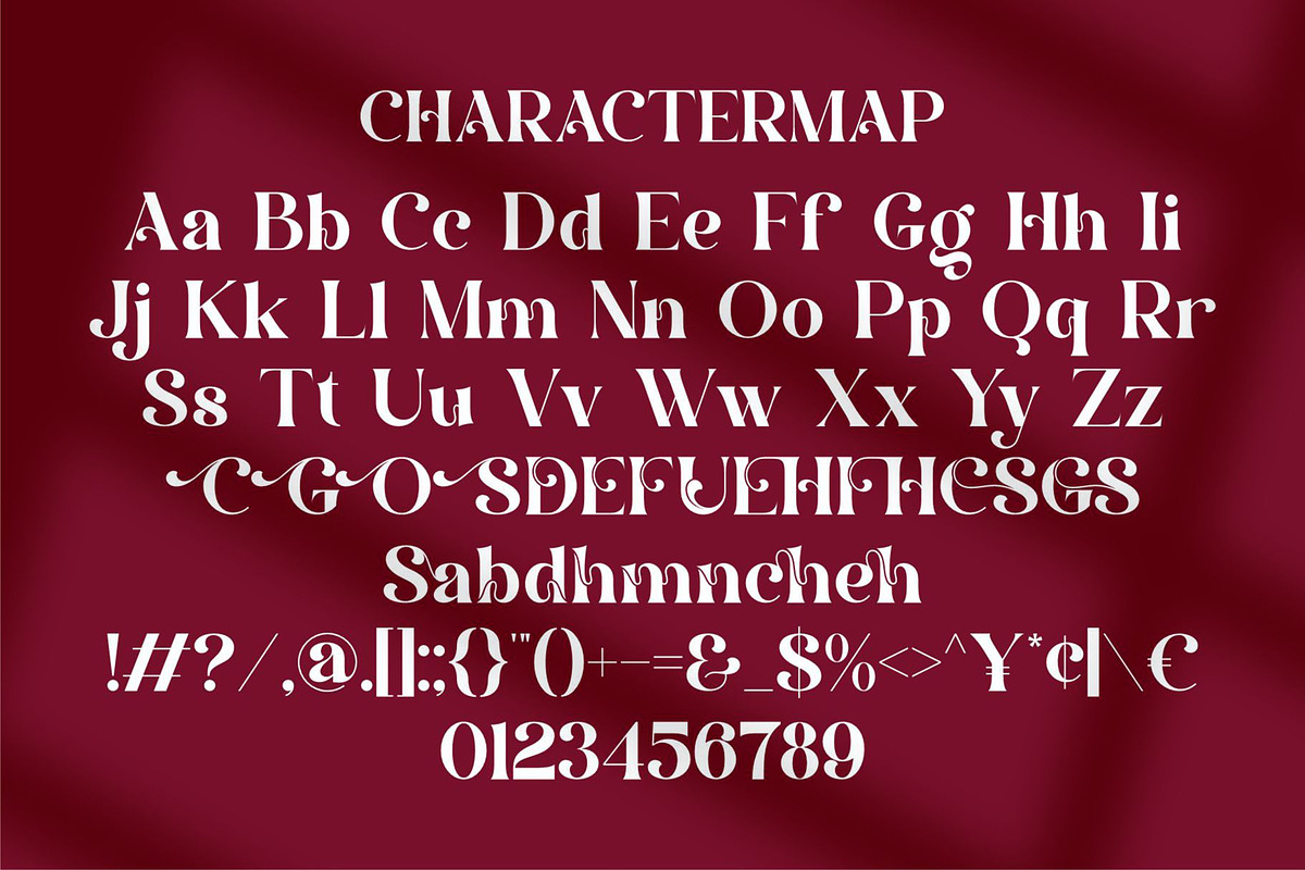 Safena || Modern Classy Serif Font, a Font by Ermedia Studio (Photo 10 of 10)