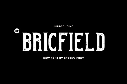 Bricfield - Rough Serif Font