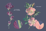 Vintage Flower Illustrations Bundle, an Illustration by Greta Ivy (Thumbnail 14 of 62)
