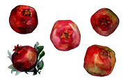 Pomegranate Watercolor, a Food Illustration by ArtOwl (Thumbnail 4 of 6)