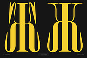 TT Espina, a Serif Font by TypeType (Thumbnail 5 of 15)