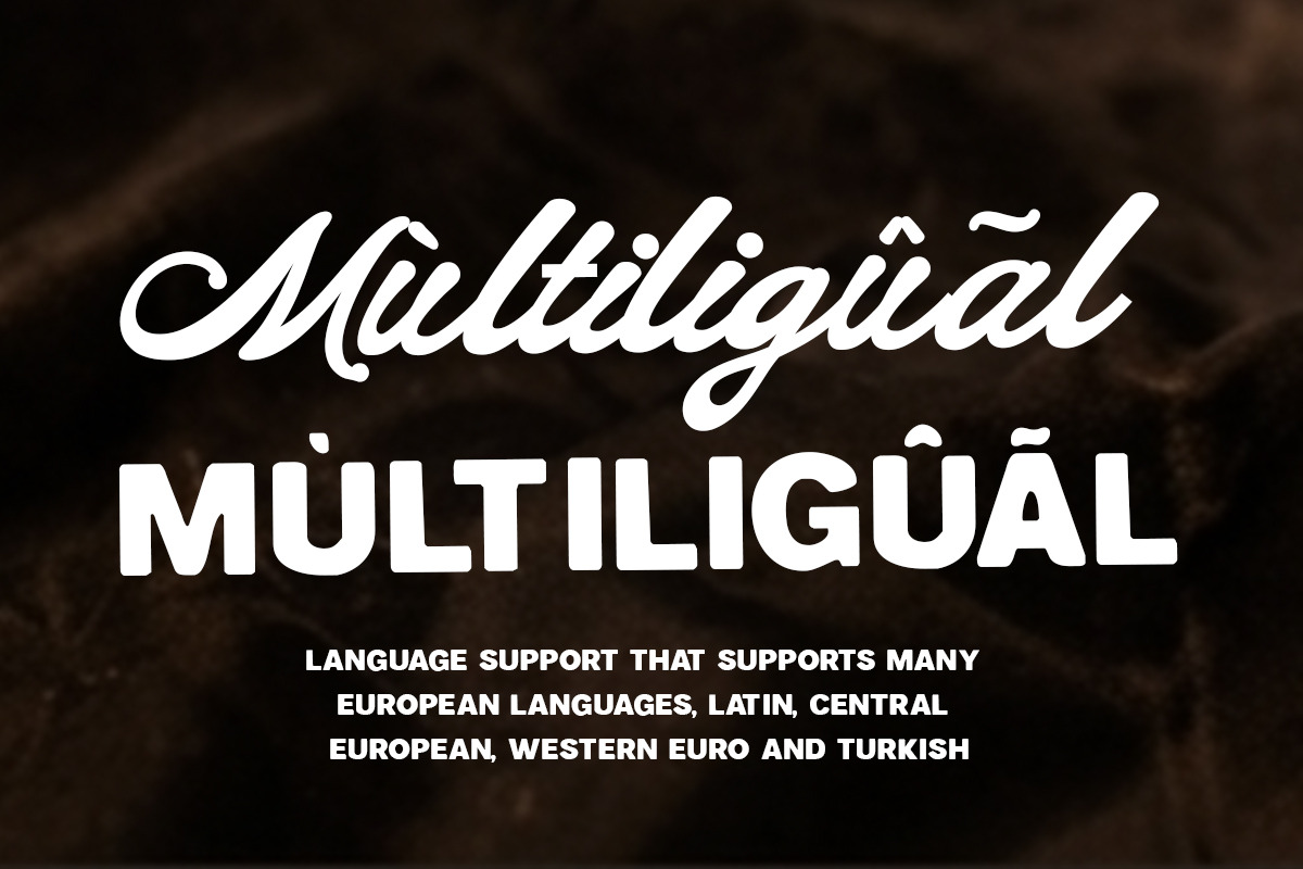 Ninelone Edition, a Script Font by StudioRhd (Photo 9 of 9)