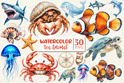 Watercolor Sea Animal Clipart, a Work Illustration by OK Design (Thumbnail 1 of 5)
