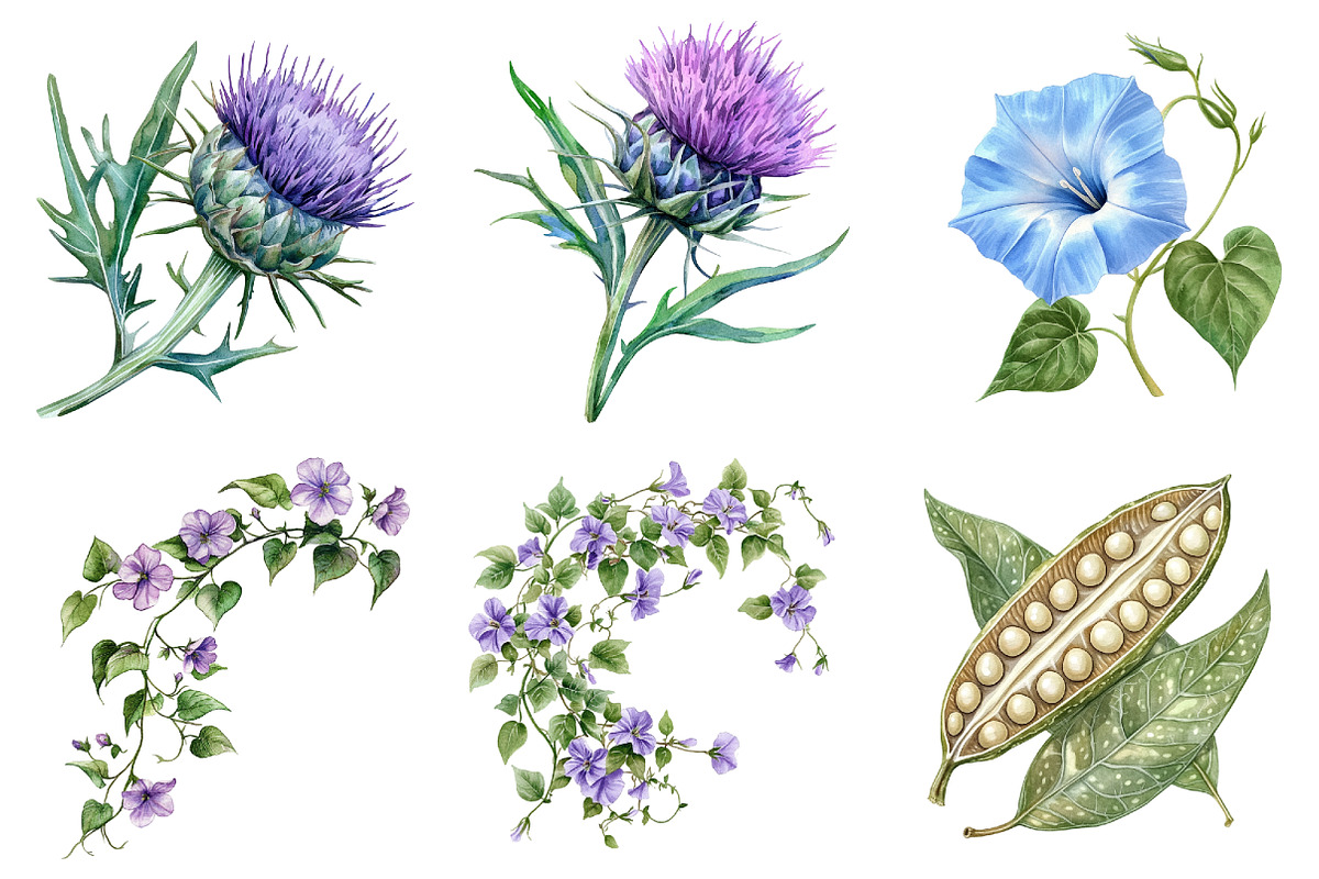 Watercolor Vintage Botanical Clipart, a Seasonal Illustration by CitraGraphics (Photo 2 of 9)