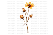 Rust Colored Wildflowers, a Decorative Illustration by Bloom Craft Creations (Thumbnail 7 of 10)