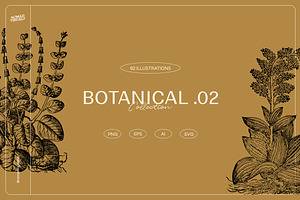 The Botanical Collection