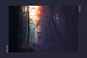 Red Aurora Artistic Lightroom Preset, an Action Add-On by Mark Borbely (Thumbnail 3 of 14)