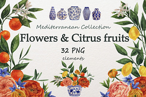 Set of flowers and citrus