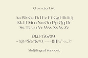 Costigue Luxury Sans, a Sans Serif Font by Typia Nesia (Thumbnail 12 of 12)