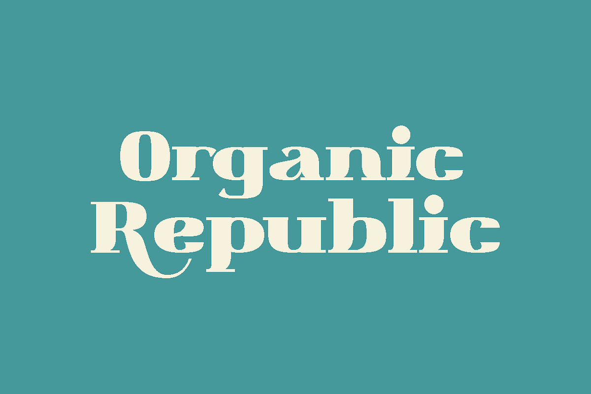 Magento Retro Display Serif Font, a Serif Font by Anomali Creatype (Photo 4 of 12)