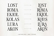 The Stripes Editorial + Italics, a Serif Font by Stripes Studio (Thumbnail 14 of 23)