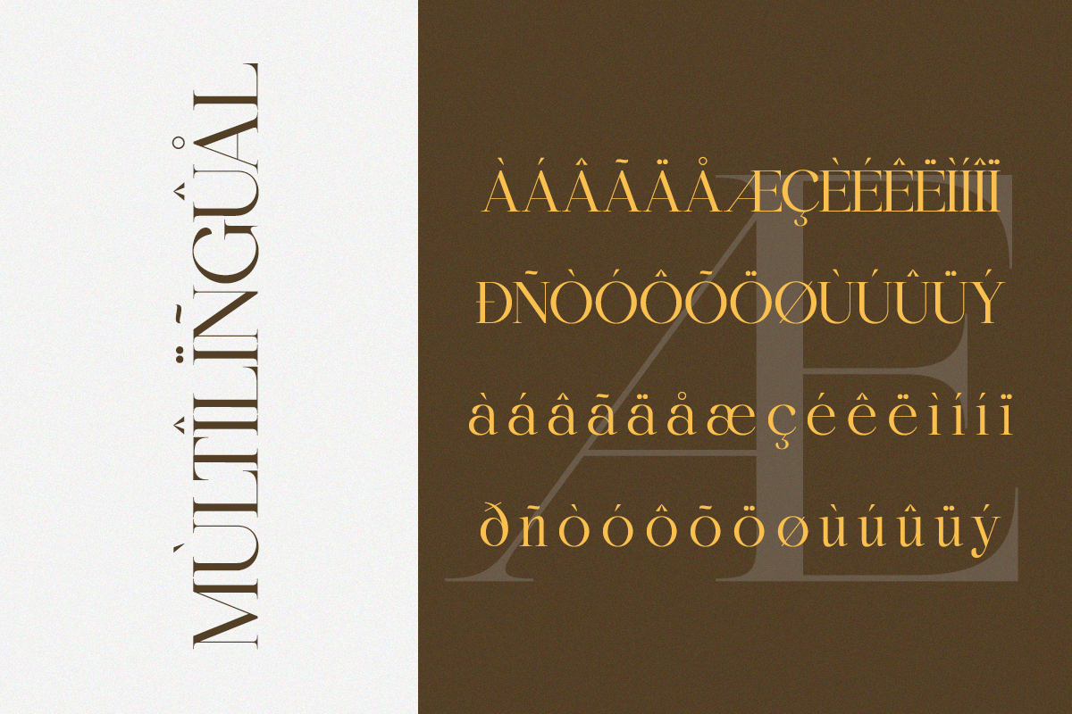 Bigalfia - An Elegant Modern Serif, a Serif Font by Qweera Studio (Photo 9 of 11)