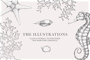 Coral Beach - Maritime Illustrations, a Texture Illustration by Laras Wonderland (Thumbnail 4 of 11)