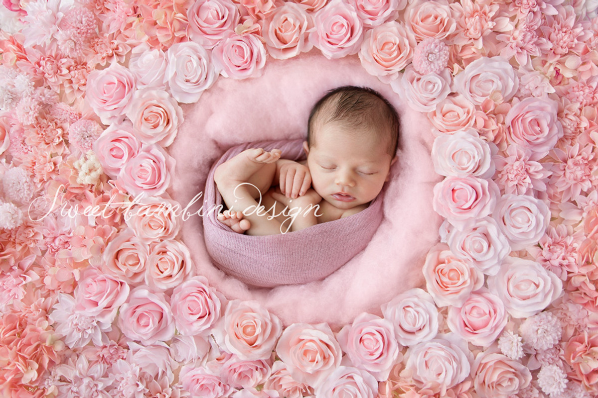 Digital Backdrop Newborn x 2