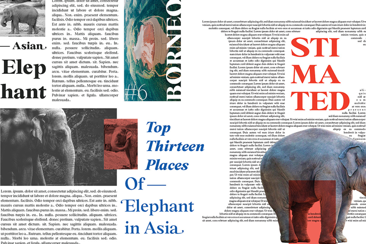 BD Megalona - Small Pack, a Serif Font by Balibilly Design (Photo 10 of 16)