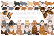 Ragamuffin cat clip art, an Animal Illustration by pet design shop (Thumbnail 1 of 5)
