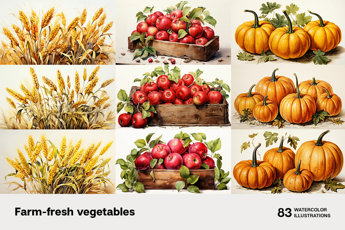 Farm-fresh vegetables. 83 images, a Food Illustration by Handmadefont (Photo 9 of 14)