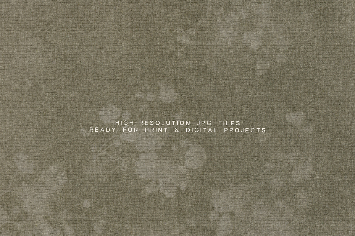 Faded Herbarium: Texture Backgrounds, a Texture Graphic by lerinartstudio (Photo 8 of 13)