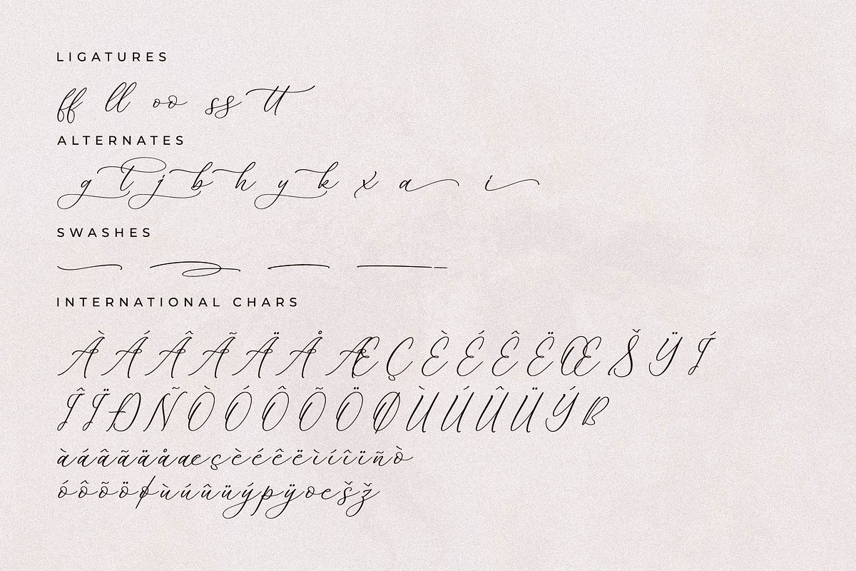 Whitley Pattrycia Luxury Calligraphy, a Script Font by Storytype Studio (Photo 12 of 12)