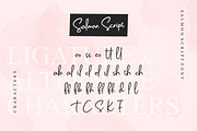 SALE! Salmon Script, a Script Font by Emtheen Std. (Thumbnail 9 of 10)