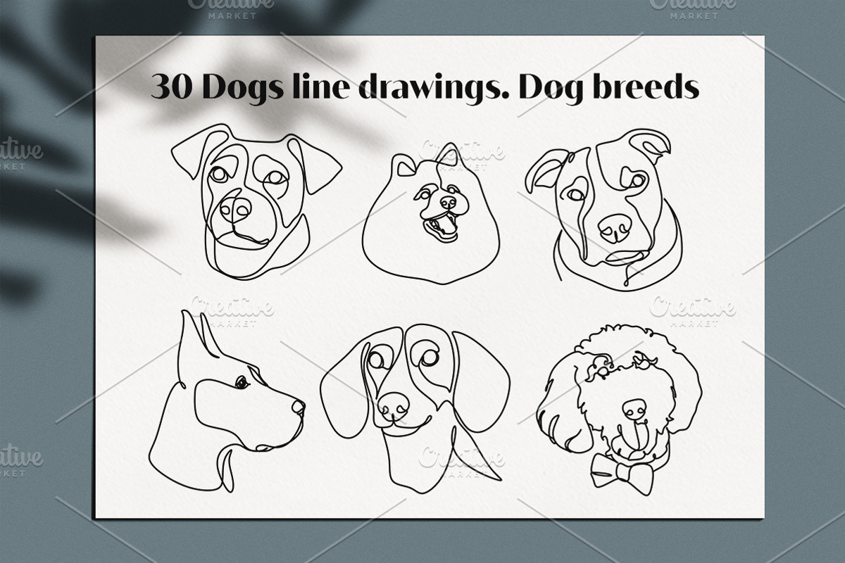 30 Dogs line drawings. Dog breeds, an Outline Icon by velychko.ua (Photo 5 of 9)