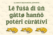CS Limau – Bold Font, a Serif Font by Craft Supply Co. (Thumbnail 5 of 8)