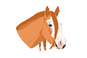 Horse heads set. Stallions breeds, an Animal Illustration by Good Studio (Thumbnail 10 of 12)