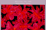 Viva Magenta - pattern collection, a Pattern Graphic by NNclipart (Thumbnail 7 of 20)