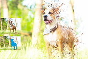 Liquid Dispersion Ps Action, a Brushes & More by MRI STUDIO (Thumbnail 10 of 18)