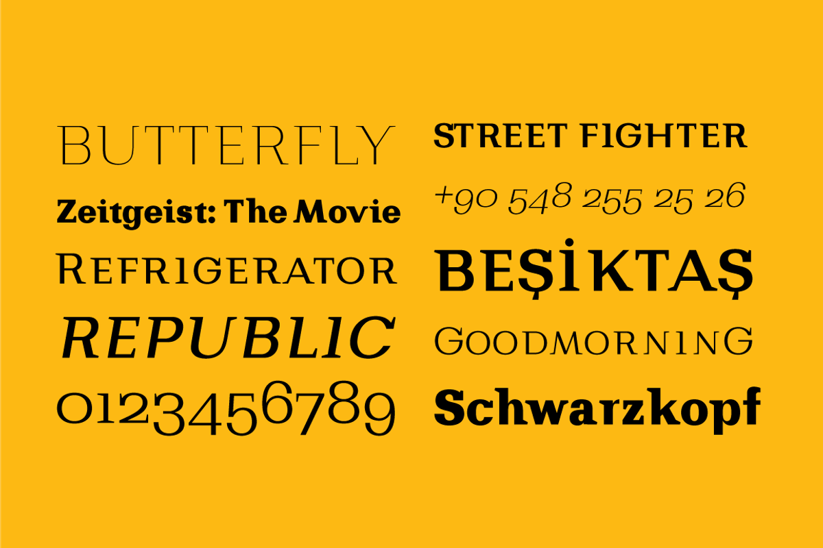 Bodrum Style, a Slab Serif Font by BULENT YUKSEL (Photo 9 of 12)