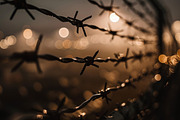 Barbed wire - 55 images, a Background Photo by Handmadefont (Thumbnail 11 of 15)