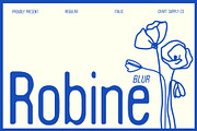 Robine Blur, a Sans Serif Font by Craft Supply Co. (Thumbnail 1 of 8)