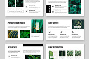 Botanical Presentation, a Presentation Template by MightyDesign (Thumbnail 3 of 7)