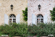 Bright Warm Lightroom Mobile Presets, an Action Add-On by in between details (Thumbnail 5 of 8)