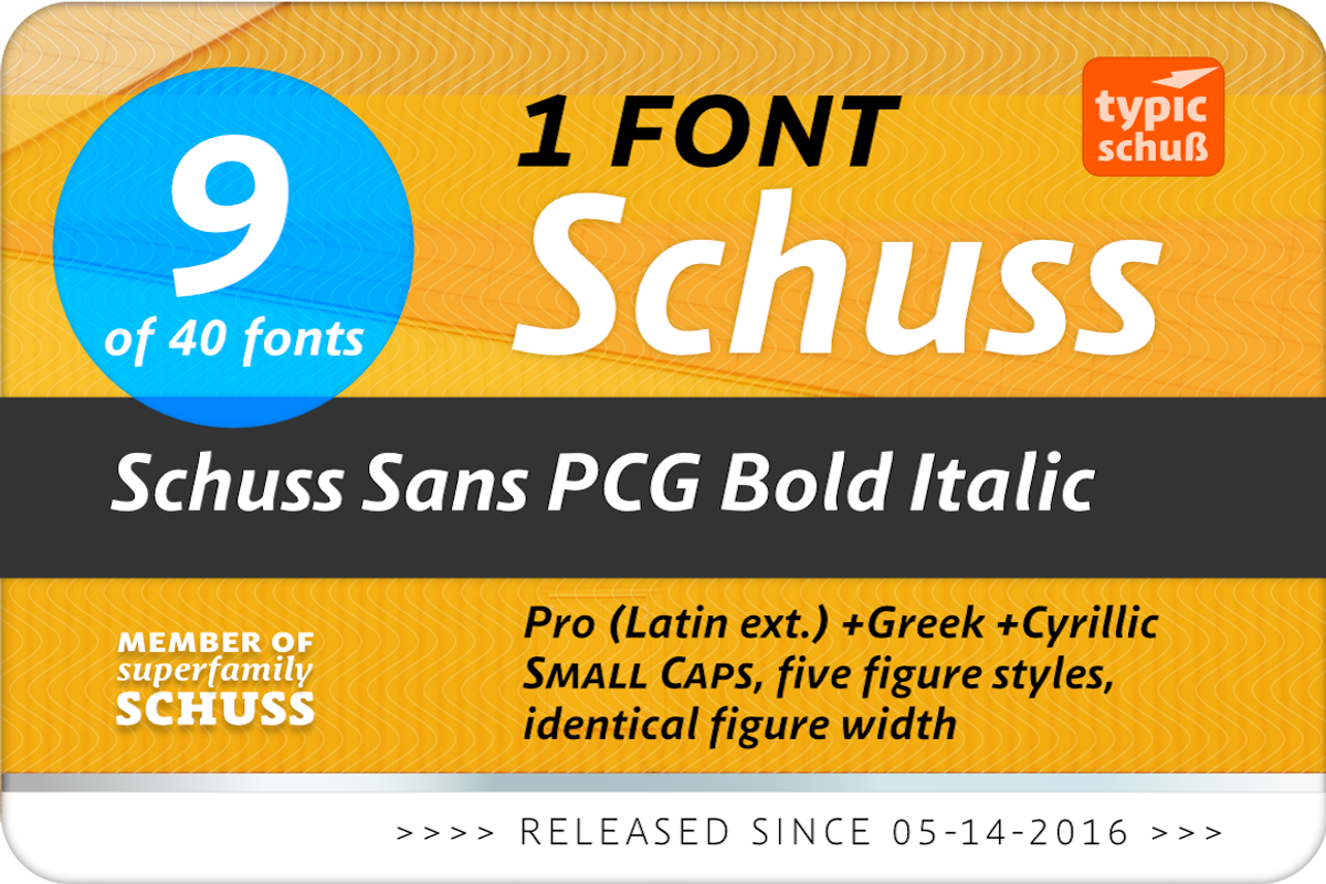 SchussSansPCGBoldIta No.09 (1 Font) preview 2