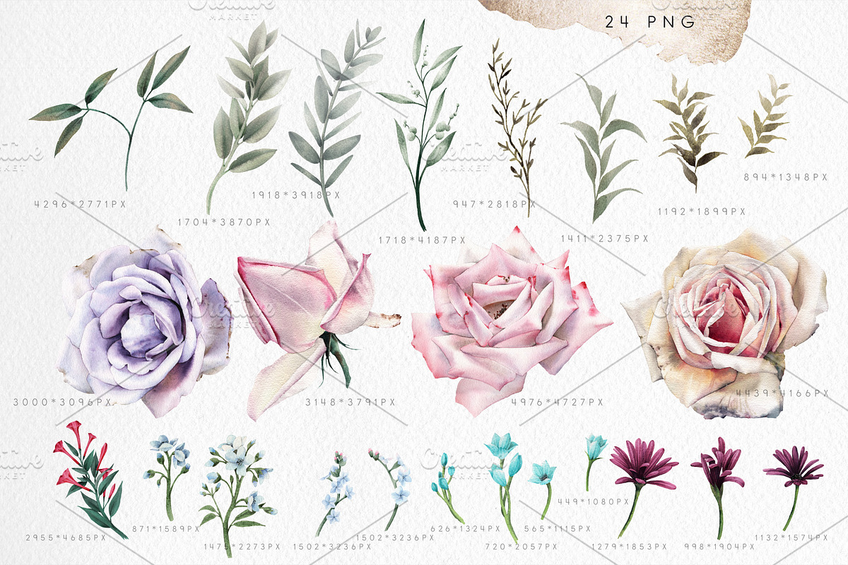 Watercolor flowers (PNG), a Decorative Illustration by ollalya (Photo 2 of 3)