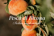 Tuscany Shade, a Serif Font by Larin Type Co. (Thumbnail 9 of 20)