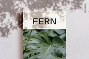 COSS – Modern & Stylish Sans, a Sans Serif Font by Local Desk Designstudio (Thumbnail 5 of 22)