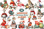 Christmas Birds Sublimation Clipart, an Illustration by DreamCafeArt (Thumbnail 1 of 7)