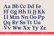 Dribble, a Serif Font by zeenesia (Thumbnail 18 of 19)