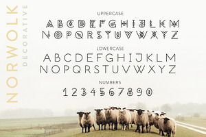 Norwolk - Thin Line Decorative Font