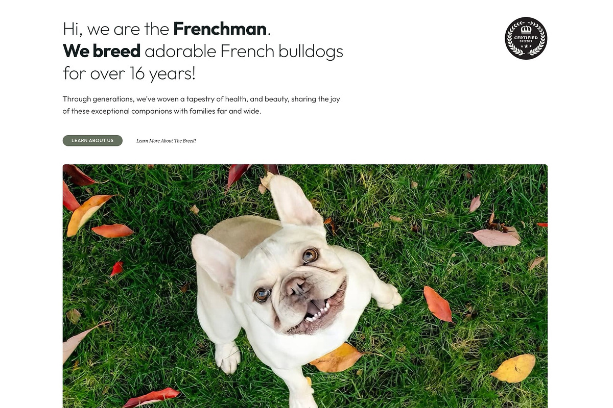 Frenchman - WP dog breeder kit, a Templates & Theme by Oooh Boi (Photo 2 of 12)