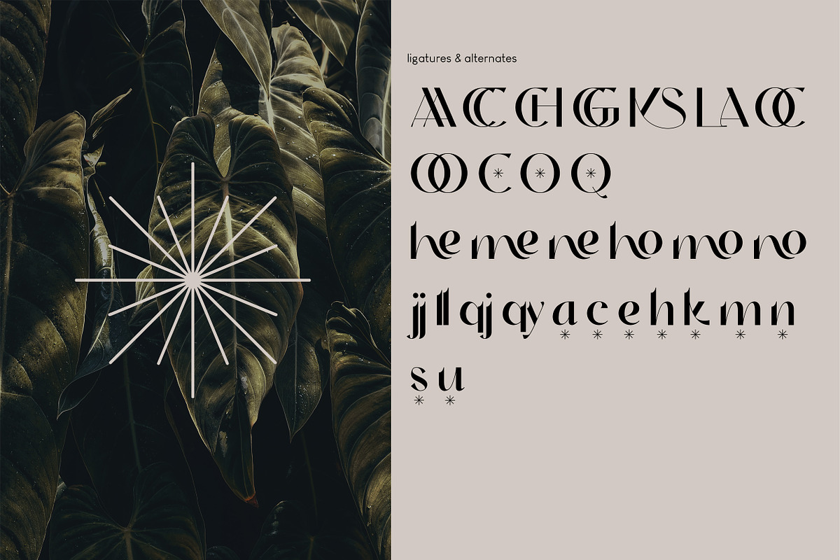Cerkiymo Elegant Typeface, a Sans Serif Font by Hishand Studio (Photo 2 of 10)
