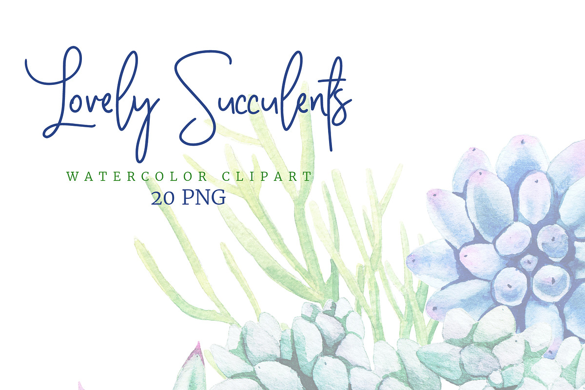 Succulents Watercolor Clipart, an Object Graphic by JSolomatina (Photo 3 of 3)
