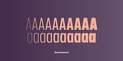 Manual, a Sans Serif Font by TypeUnion (Thumbnail 12 of 16)